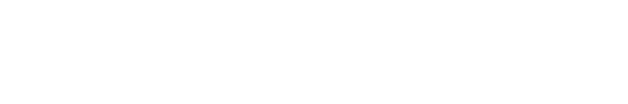 SEO BELLS Logo White